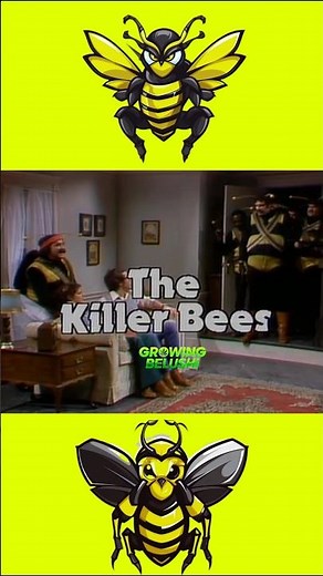 🐝 Killer Bees #snl #johnbelushi #bluesbrothers #danaykroyd #jimbelushi #classiccomedy #funnyshorts