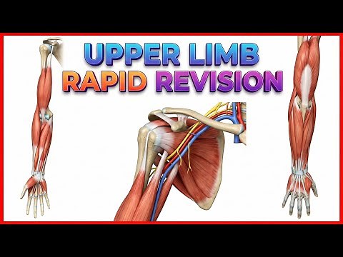 Upper Limb Anatomy : Rapid Revision by Dr Krishna Sahith