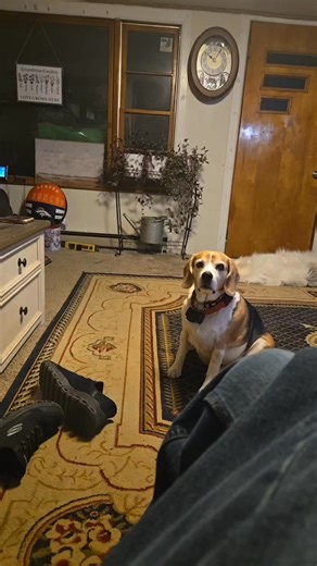 Poor little emmy!! I fed you already its my turn to eat!! | Joshua Hutcheson