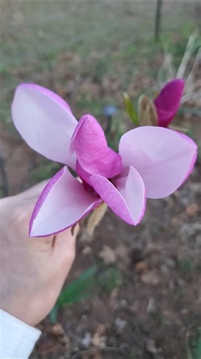 Signs of Spring. 🌸