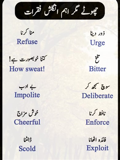 English Sentences For Daily Use 📚 #MaEnglish #fyp #englishlanguage #englishteacher #english