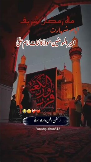 noha teda zakham te van tabib Kita noha 😭😭😭😭😭😭😭