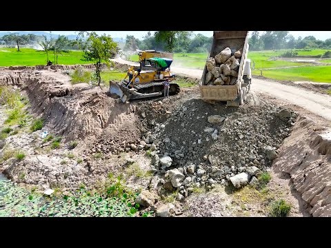 Best Large Scale Land Filling Up Deeply Huge Pond Process Bulldozer and Dump Truck Transport Soil