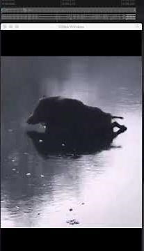 Cartoon Run And Crash Sound effects