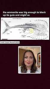 This Jurassic Fish Made A Big Mistake. Huge! | Eons • PBS