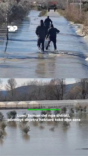 Në fshatin Murriz Kozare, në njësinë administrative Fier-Shegan, lumi Seman ka dalë nga shtrati, duke shkaktuar përmbytje të konsiderueshme në zonë. Si pasojë e rritjes së nivelit të ujit, dhjetëra hektarë tokë bujqësore dhe sera janë vënë nën ujë, duke shkaktuar dëme të konsiderueshme për fermerët. | Top Channel