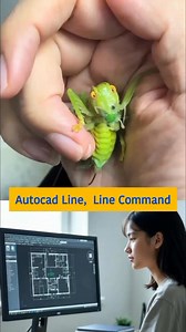 7.5K views · 24 reactions | Autocad,line command. #Cad #linecommand | Nazrul With CE | Facebook