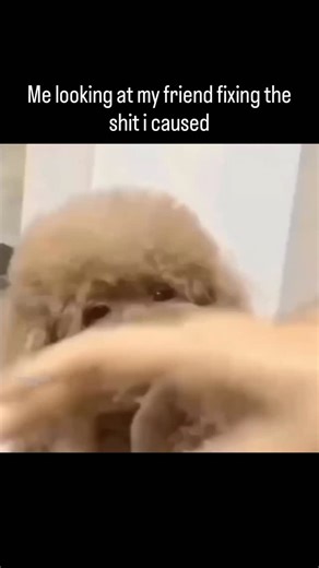 Daily Post on Instagram: "planning how to say thank you. Follow @pure.daily.post 📢 Thank you isn’t always just a polite phrase—it’s a feeling that comes from genuine appreciation. It’s what you say when words fall short but gratitude still needs a voice. Sometimes it carries relief, sometimes respect, and sometimes quiet happiness for someone who showed up when it mattered. A true thank you acknowledges effort, time, and care. It recognizes the little things people do that often go unnoticed. W