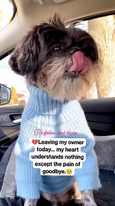 Leaving my owner today… my heart understands nothing except the pain of goodbye. #GoodbyeMyHuman #DogHeartBreak #CantGoWithYou #LonelyPaws #SadDogStory #DogGoodbye #MissingMyOwner #HeartbrokenPup #PleaseSendLove #DogEmotions | Stories of USA
