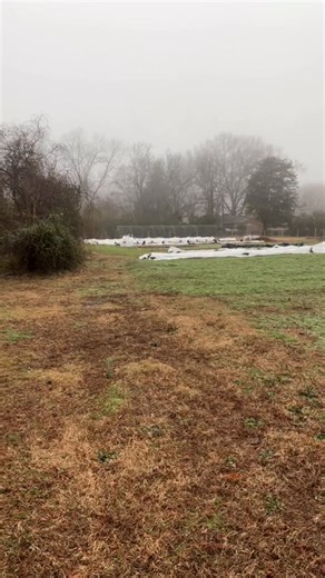 31 reactions · 4 comments | When the fall work is done and winter creeps in, this is just the best. Walking the farm and peeking. Stop and smell the roses or peek under the covers at all the work done. It’s the best part. #gardenersworkshopfarm | The Gardener's Workshop | Facebook