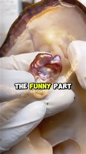 How Oysters Really Make Pearls | The Fascinating Secret Behind Their Glow