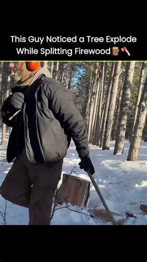 Nature’s Frozen Dynamite