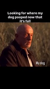 26K views · 708 reactions | When everything on the ground is the same color as the poop. . . All jokes aside this is step in poop season. . Make sure you don’t just hide your dogs poop and pick it up! #dogs #dog #dogtraining | Lobato Dog Training | Facebook