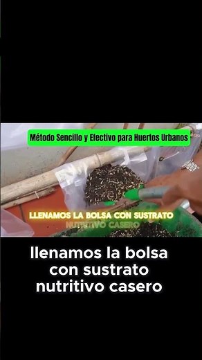 Perfect preparation of the container for your h