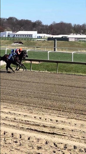 Laurel park -R8