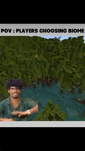 Minecraft Biome Problems 🥲