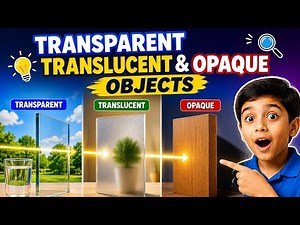 Transparent, Translucent and Opaque Objects | Light and Materials | Science