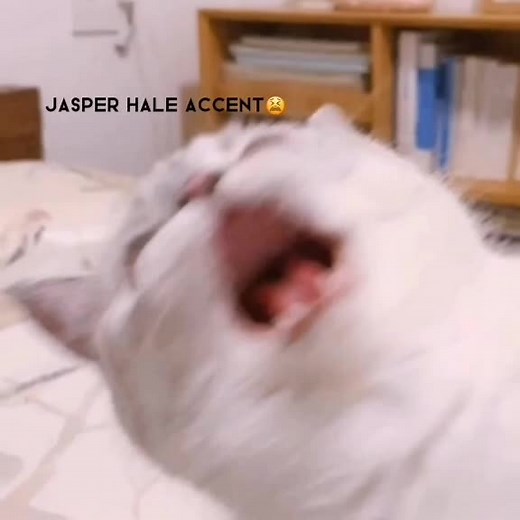 Jasper Hale Voice Impressions Compilation