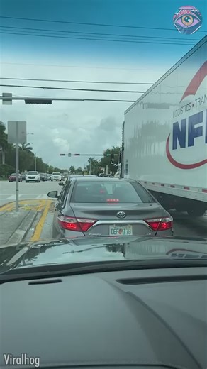 Truck driver helps lady across busy road | Bright Side