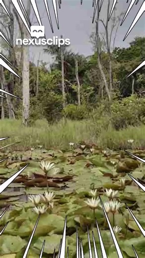 Exploring the Real Sounds of Dinosaurs