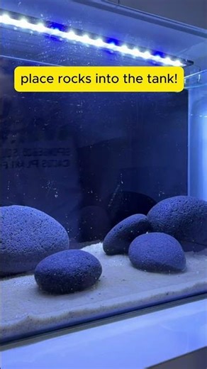 Top Aquarist Reveals BEST Goldfish Tank Setup Techniques