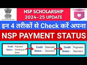 How To Check PFMS Payment Status NSP ☑️ ! Track NSP Payment PFMS ! PFMS Payment Status Check