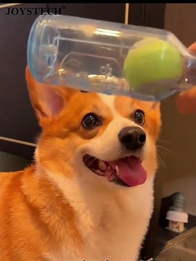 JOYSTECH 犬 おもちゃ 犬 音の出るおもちゃ 噛むおもちゃ＃犬#おもちゃ https://www.amazon.co.jp/dp/B0DM1GJMZH/