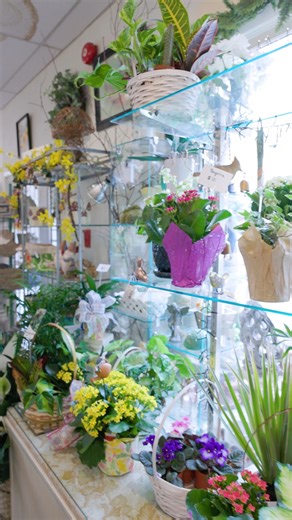 11K views · 60 reactions | We asked business owners in and around Oakmont how the U.S. Open Golf Championship will impact their business as Allegheny County welcomes visitors from across the nation. Check out their responses! Leone's Pizza Cheswick Oakmont Floral Oakmont Deli | Allegheny County Government | Facebook