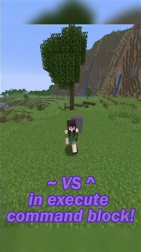 difference between ~ and ^ Minecraft Java :D