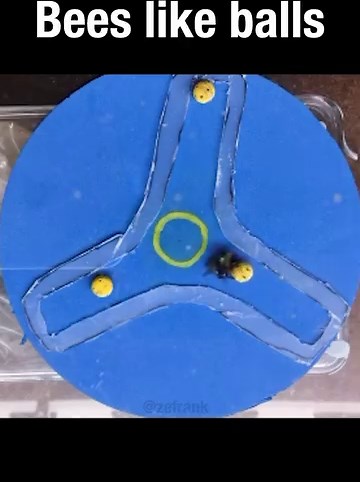 284K views · 8.9K reactions | Watch full video: https://youtu.be/M6hGjh9SJ_M?si=VfGis1S1mG5b2D8j | True Facts | Facebook