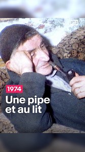 193K views · 2.2K reactions | "J'aimerais mieux oublier ma femme, que d'oublier ma pipe et mon tabac." Rencontre avec des pipomanes, amateurs passionnés qui expliquent l'art et la manière de bien fumer. #RTSarchives #pipe #pipelife | Les archives de la RTS | Facebook