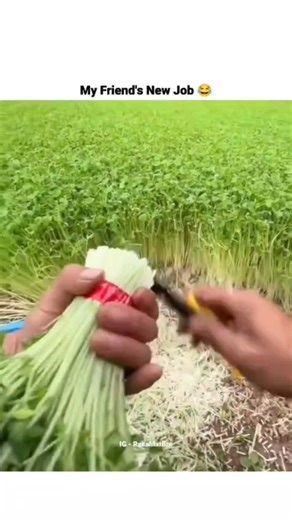 priyaa on Instagram: "日本利用压电瓷砖将脚步转化为电能。这些瓷砖捕捉来自你脚步的动能。当你行走时，你的重量和动作会对瓷砖产生压力。瓷砖会轻微弯曲，从而产生机械应力。瓷砖内部的压电材料将这种应力转化为电能。每一步都会产生少量电荷，而数百万步结合在一起就能产生足够的电力来驱动 LED 灯、数字显示屏和传感器。在像涩谷车站这样繁忙的地方，每天大约有 240 万个脚步为这一系统作出贡献。这些电能可以被储存或立即使用，从而减少对传统电力来源的依赖，并支持可持续的城市基础设施。这种方法将日常运动转化为实用的可再生能源 #日本 #知识 #事实 #你知道吗 #推荐 #科技 #创新 #历史 #技术 #实验 #热门 日本利用压电瓷砖将脚步转化为电能。这些瓷砖捕捉来自你脚步的动能。当你行走时，你的重量和动作会对瓷砖产生压力。瓷砖会轻微弯曲，从而产生机械应力。瓷砖内部的压电材料将这种应力转化为电能。每一步都会产生少量电荷，而数百万步结合在一起就能产生足够的电力来驱动 LED 灯、数字显示屏和传感器。在像涩谷车站这样繁忙的地方，每天大约有 240 万个脚步为这一系统作出贡献。这些电能可以被