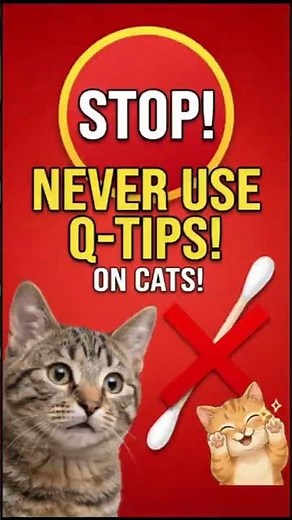 How to Clean Cat Ears Safely (Easy Guide! #catlife #petfluent #usa #petcare #CatLoversUSA