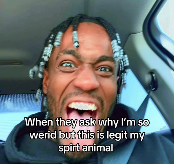 Exploring My Spirit Animal: Daydrian Harding Edit