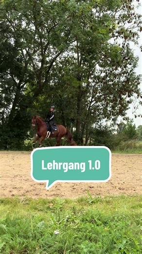 Dressage Horse Bloopers: Fun Moments with Oldenburgers