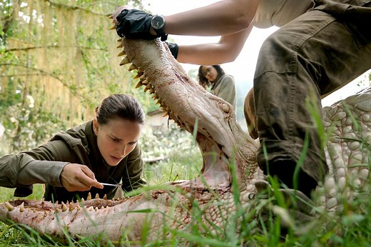 ‘Annihilation’ has terrifying beasts unlike any you’ve seen