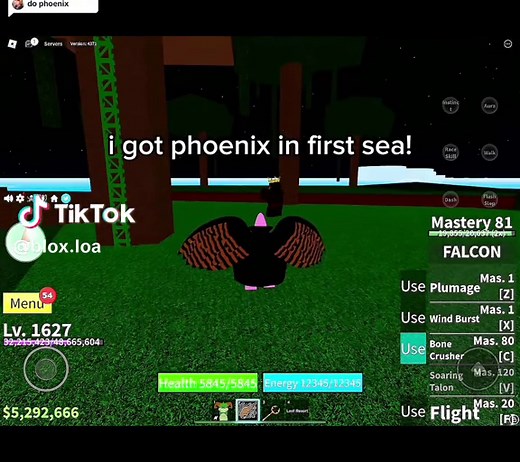 Phoenix and Falcon Abilities in Blox Fruits First Sea