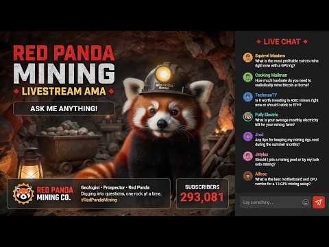 Red Panda Mining LIVE: Ask Me Anything