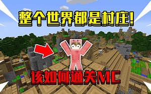 当我的世界整个世界都是村庄！该如何通关MC！