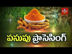 Turmeric Processing Guide By Mynampati Sreenivasa Rao | Food Processing | hmtv Agri
