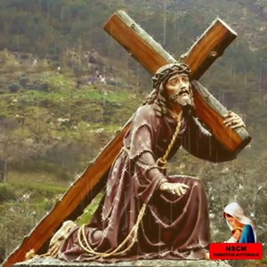 8.2M views · 546K reactions | Oração poderosa de cura e libertação | Nossa Senhora cuida de mim | Facebook