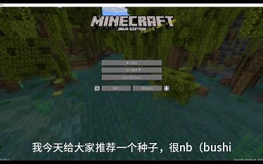 推荐一个1.19.2的种子