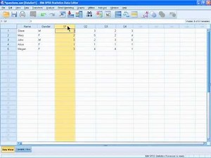 SPSS 19 Training : Assigning Variable Labels