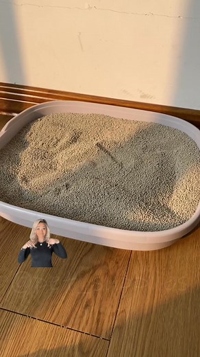 Never Handle Cat Poop Again with Our Self-Cleaning Scooper!. First comment has the link – go grab yours! | The cat meow