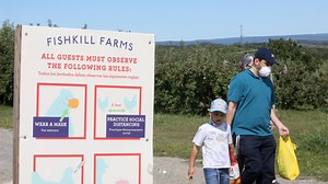 Apple picking won't be the same this year: What to expect from local farms during pandemic