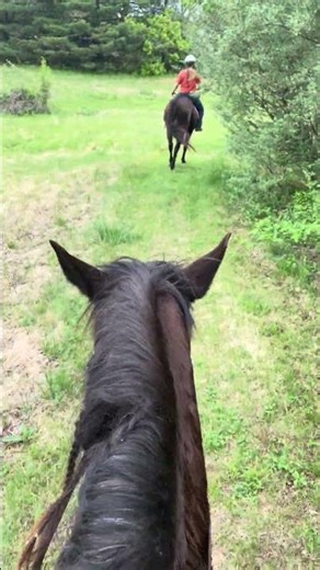 Out on the trail with Macy Mick and Junebug