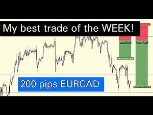 How we made 1000$ in 2 days Forex trading