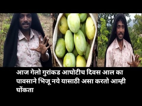 आघोटीच दिवस आल का पावसाने भिजू नये यासाठी असा करतो आम्ही घोंकता