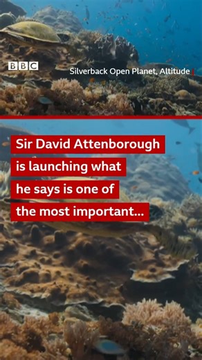 1.2M views · 47K reactions | The natural historian and broadcaster is launched what he says is one of the most important films of his career. He said, "After almost 100 years on the planet, I now understand the most important place on Earth is not on land, but at sea." We're reposting this video as it's one of your favourites from the year so far.  For more stories that take you beneath the waves of our planet's oceans, listen here: https://bbc.in/4m7g4hz | BBC World Service | Facebook