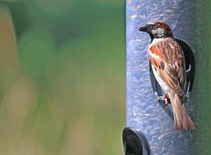 Detroit Zoo Offers Citizen Science Day April 13